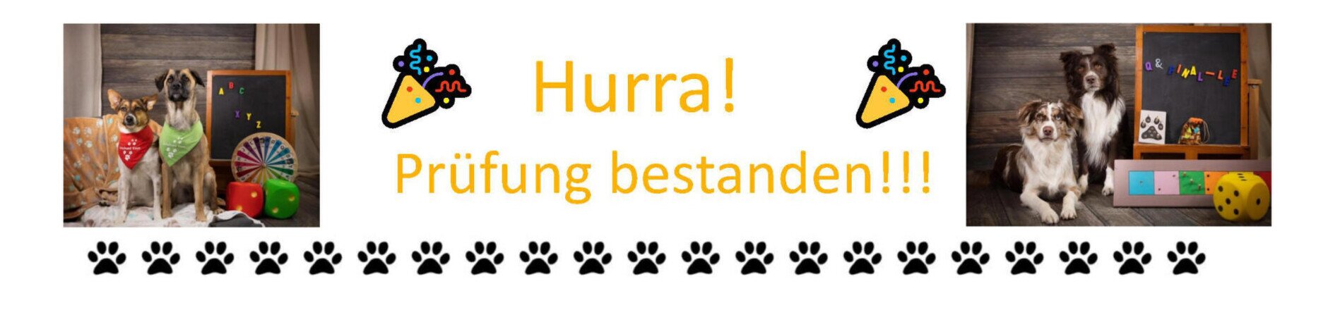 Bestandene Prüfung Banner
